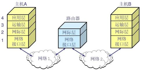 CSP初赛巩固（四） 计算机网络与因特网及网站设计核心要点